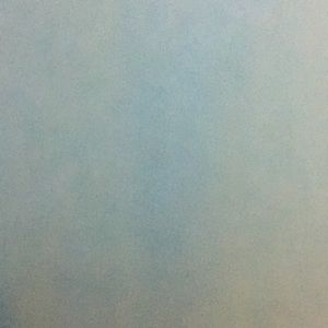 Meet your Posher, Dominique